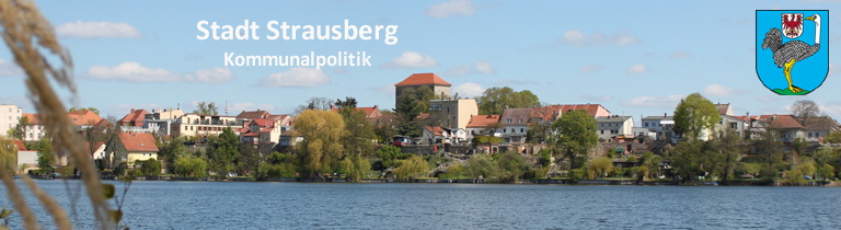 Mobile Ratsinfo Perleberg