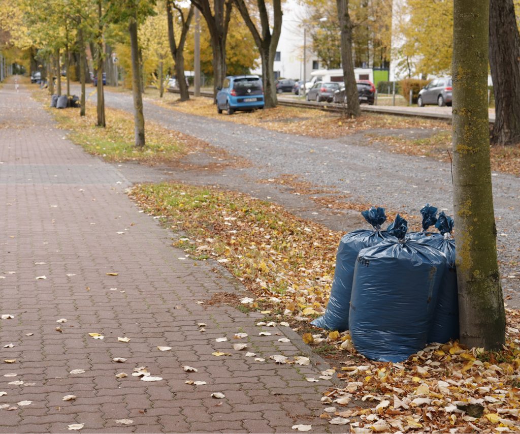 gefüllte Laubsäcke sind am Straßenrand bereitgestellt