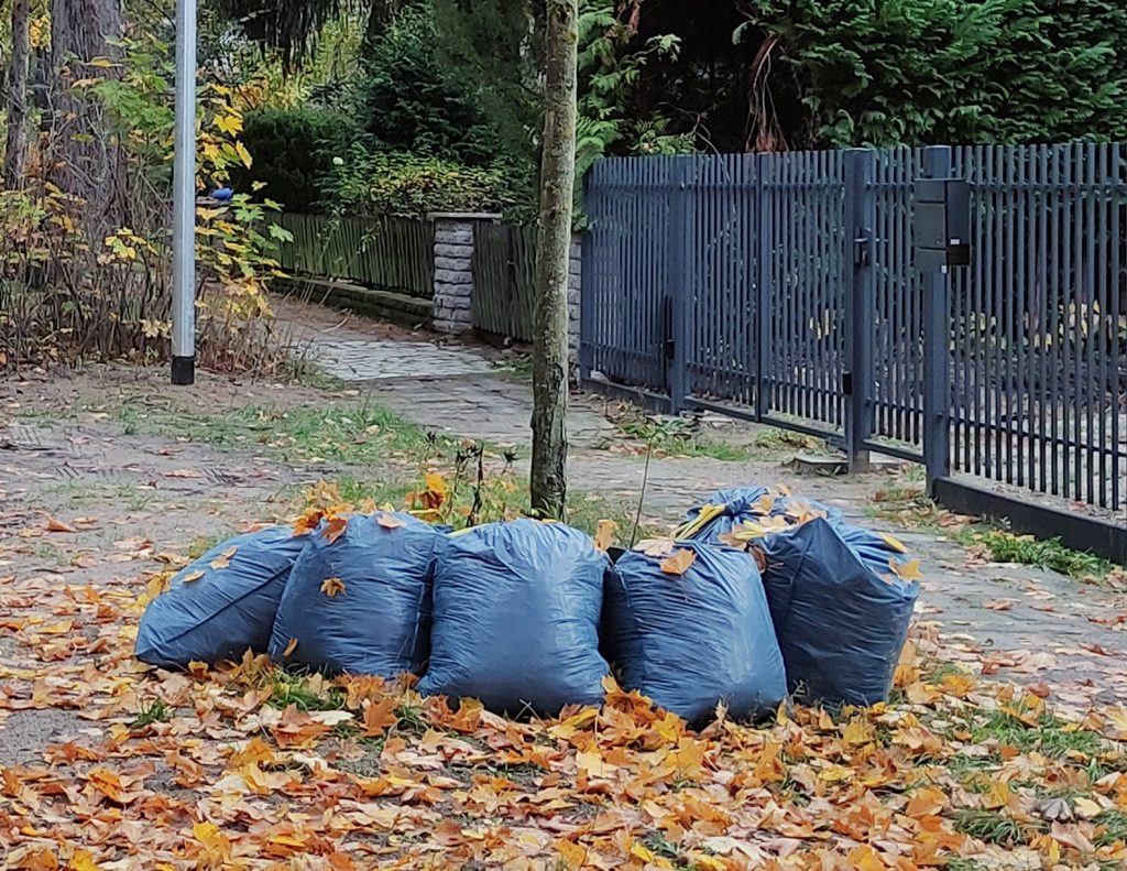 gefüllte Laubsäcke sind am Straßenrand bereitgestellt