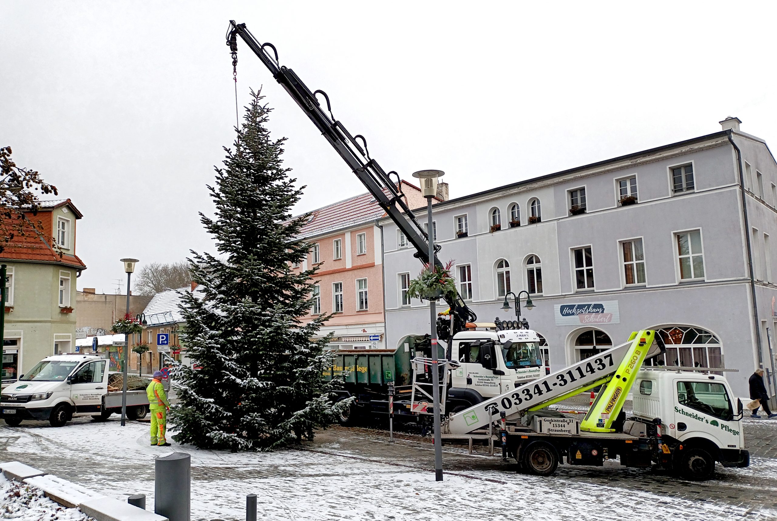 Aufstellen des Weihnachtsbaums durch Fa Baumpflege Schneider am Markt