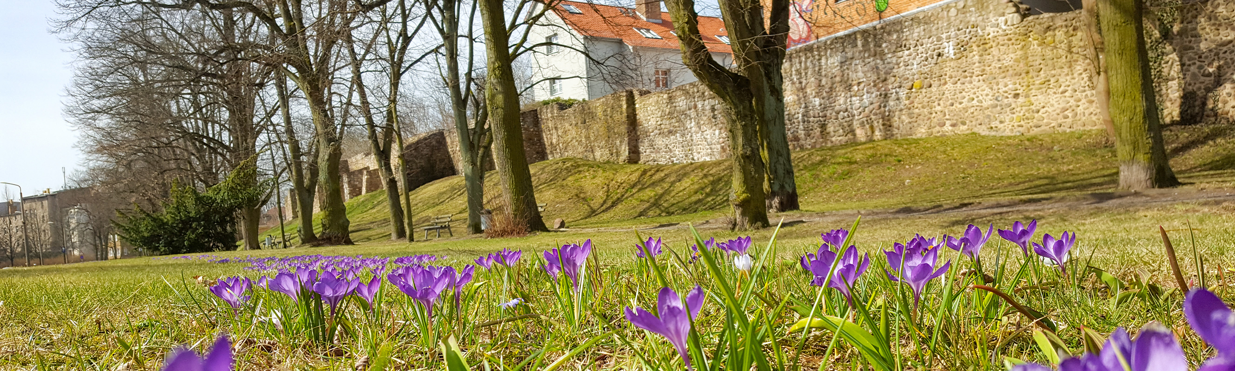 Altstadtansicht mit Fähre