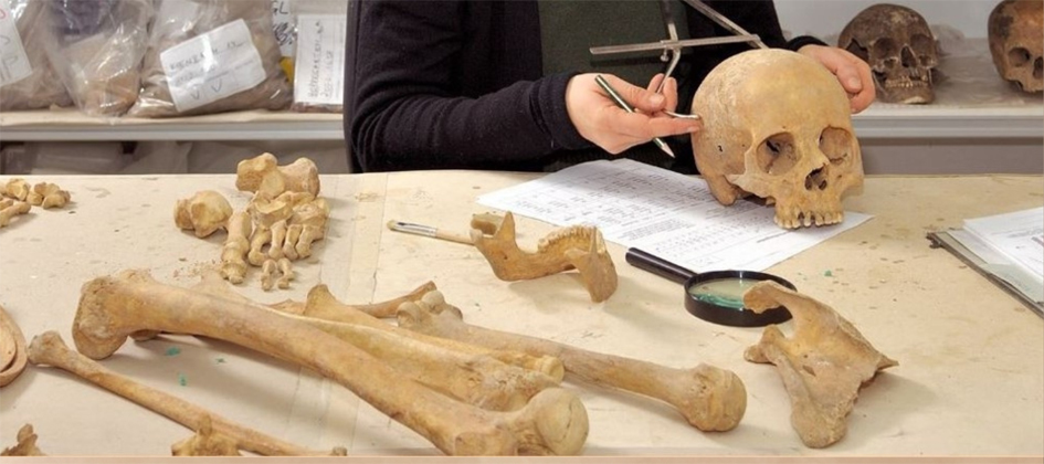 Wissenschaftlerin bei Untersuchungen an Skelett-Teilen
