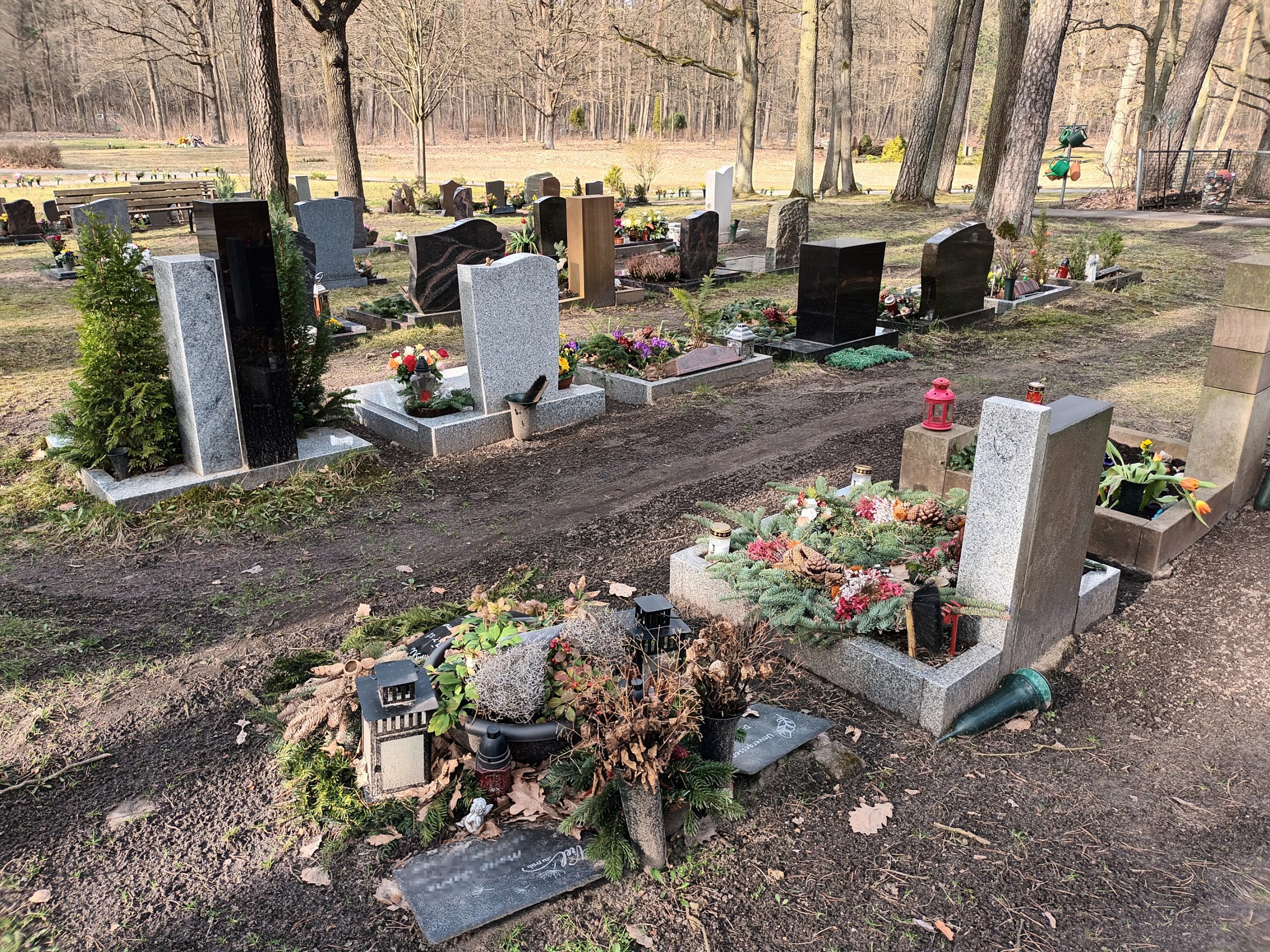 Grabfeld auf dem Waldfriedhof