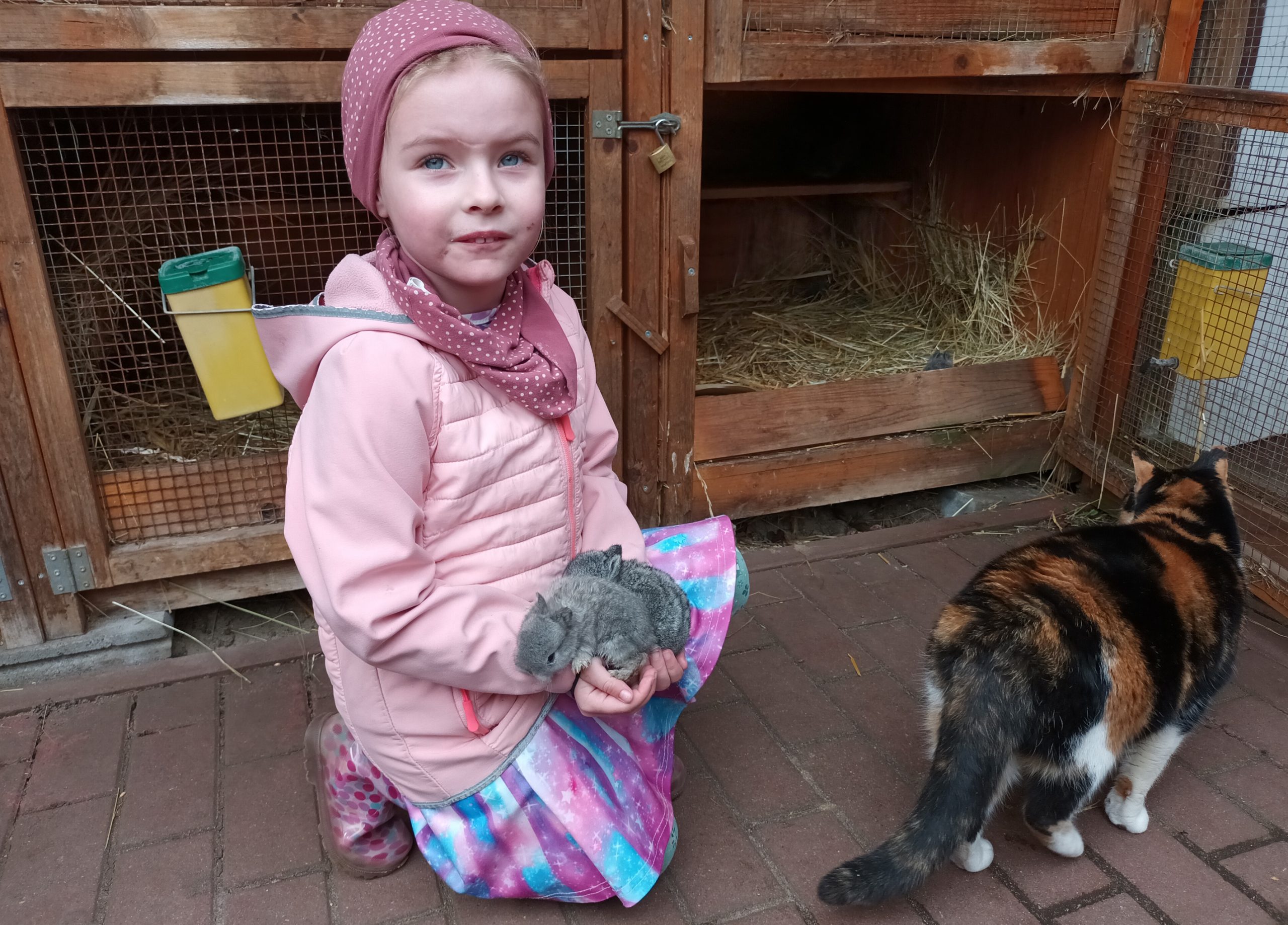 Mia (4) aus Vogelsdorf darf die jungen Farbenzwerge-Kaninchen in die Arme nehmen