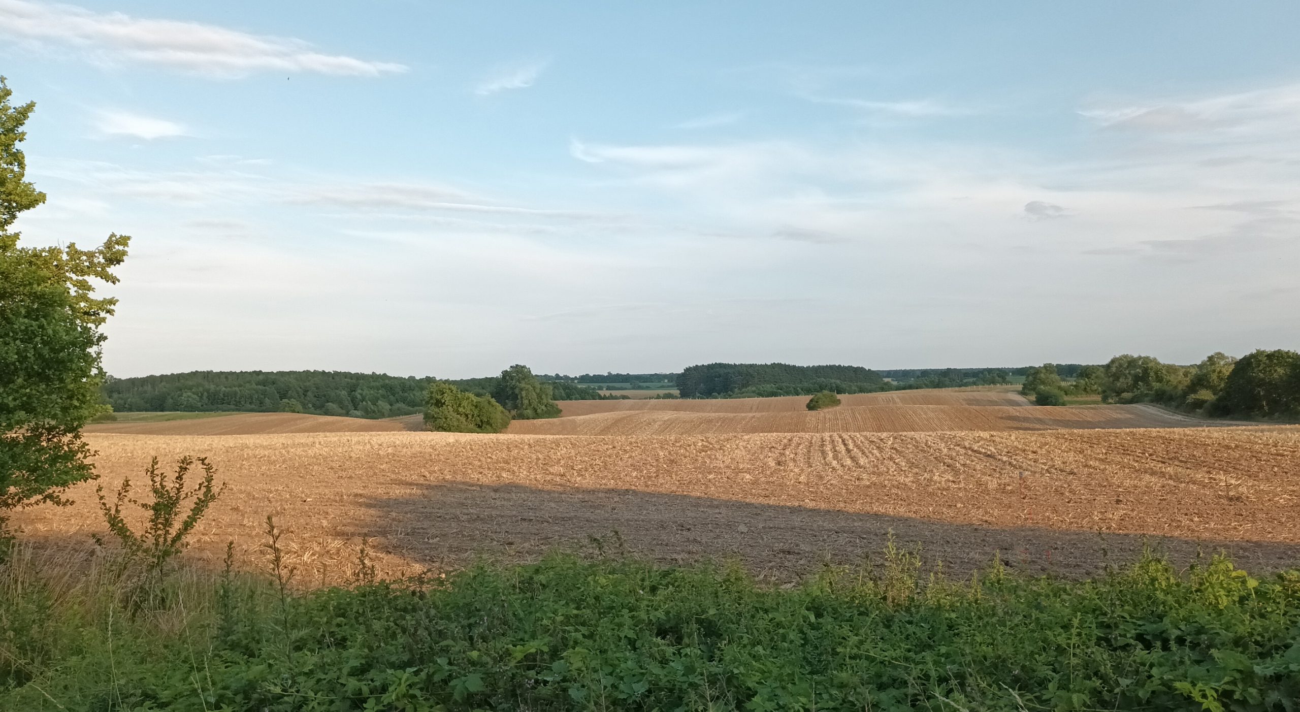 die Landschaft um Ruhlsdorf