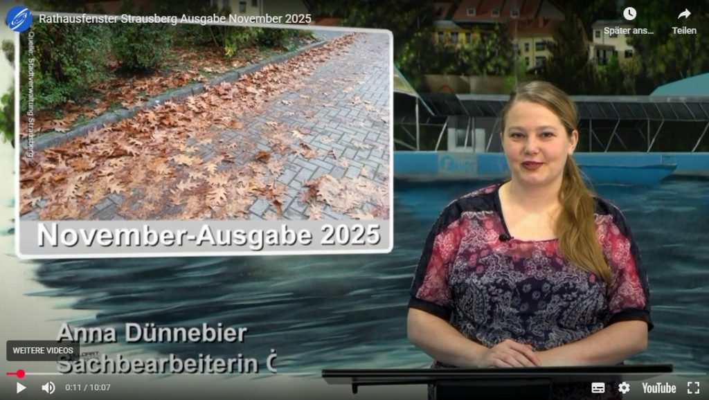 Titelbild Rathausfenster November