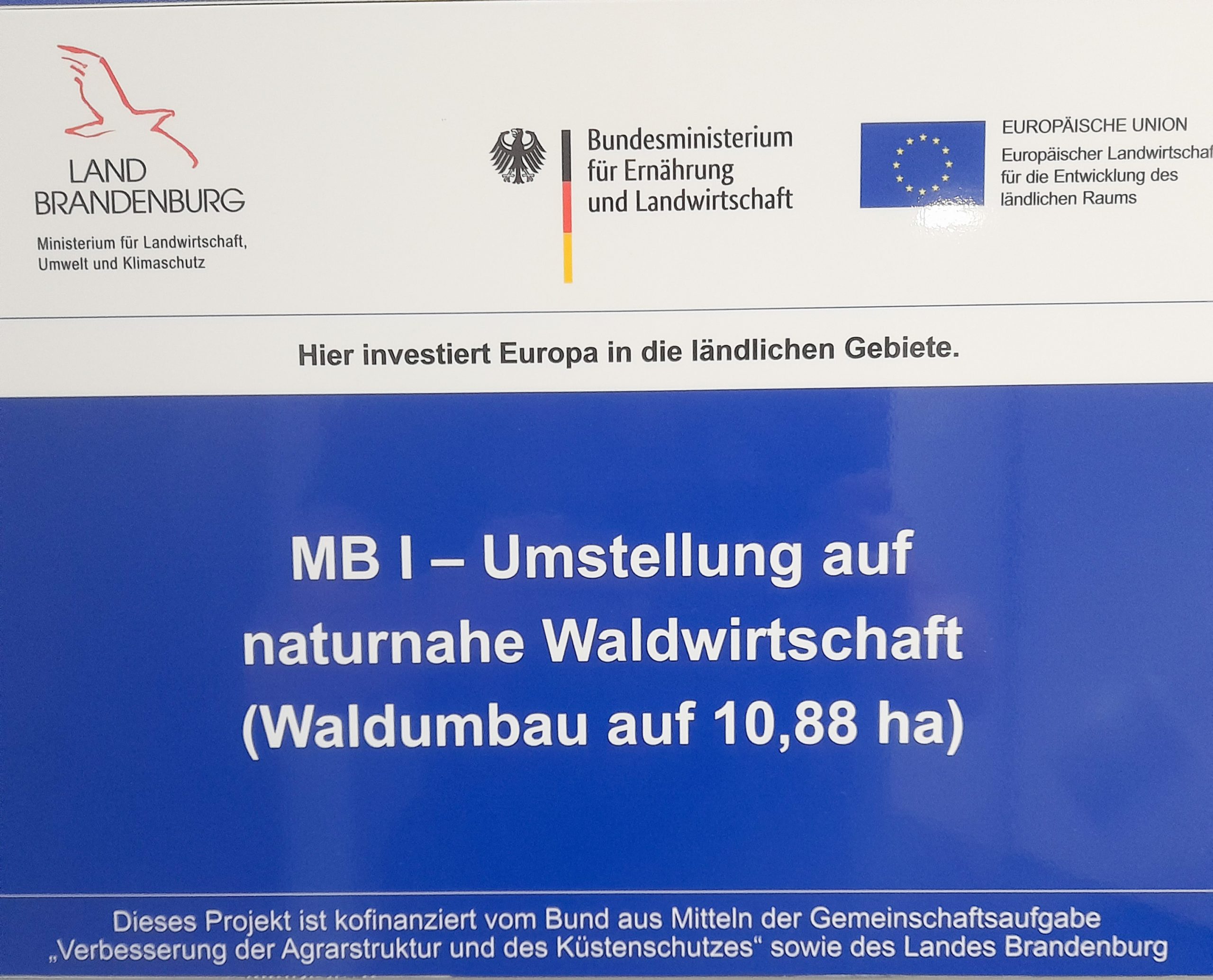 Logos der Fördermittelgeber: Land Brandenburg, Bundesministerium für Ernährung und Landwirtschaft und Europäische Union über MB I - Umstellung auf naturnahe Waldwirtschaft (Waldumbau auf 10,88 ha)